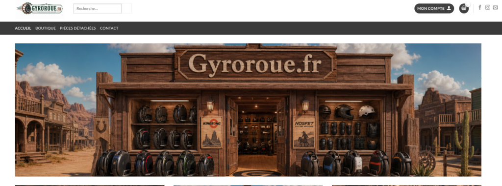 boutique de Gyroroue